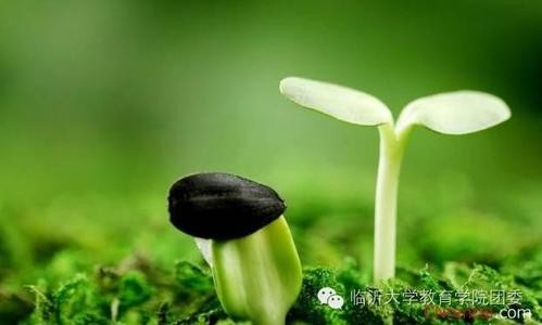 每天都超越自己一點(diǎn)點(diǎn)