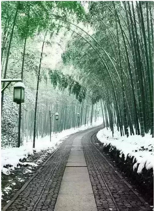 成功，就是在奮斗中把握機會